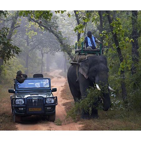 Samode Safari Lodge Parāsi المظهر الخارجي الصورة