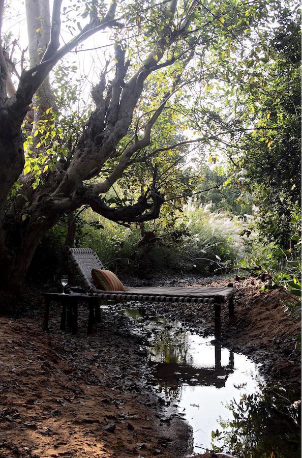 Samode Safari Lodge Parāsi المظهر الخارجي الصورة