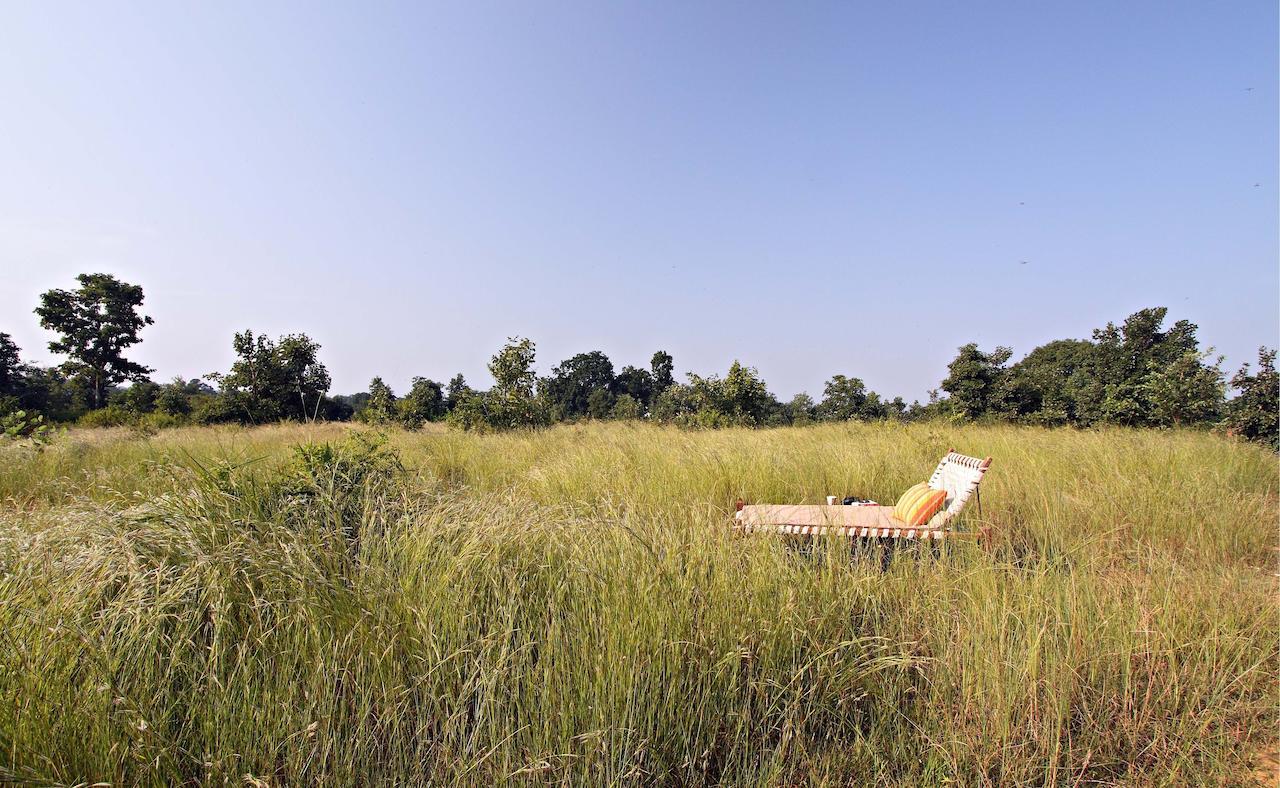 Samode Safari Lodge Parāsi المظهر الخارجي الصورة