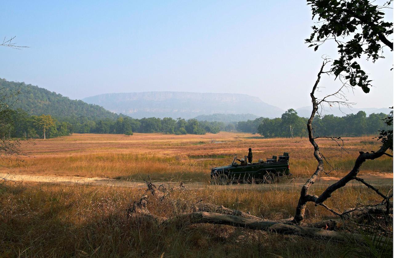 Samode Safari Lodge Parāsi المظهر الخارجي الصورة